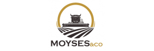 Moyses & Co