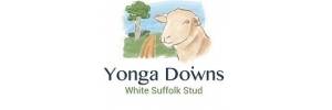 Yonga Downs White Suffolk Stud