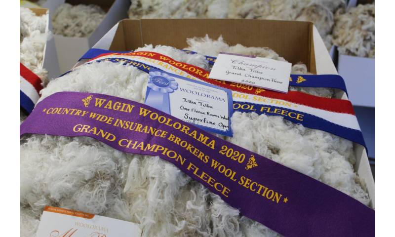 wool-prizes