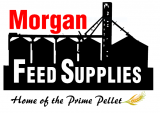 Morgan Feed Supplies