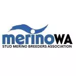 Stud Merino Breeders Association of WA