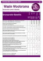 Sponsorship Benefits 2027 image